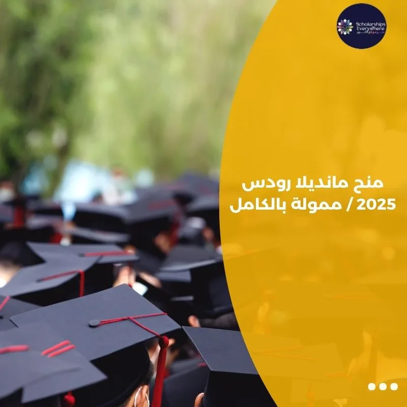 منح مانديلا رودس 2025 / ممولة بالكامل