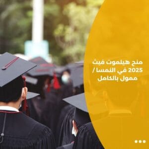 منح هيلموت فيث 2025 في النمسا / ممول بالكامل