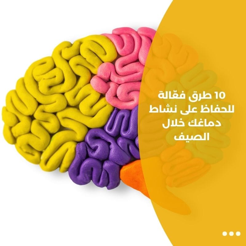 10 طرق فعّالة للحفاظ على نشاط دماغك خلال الصيف