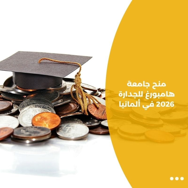 منح جامعة هامبورغ للجدارة 2026 في ألمانيا